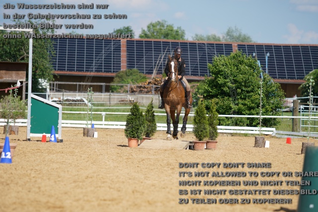 s_K3F06976.JPG